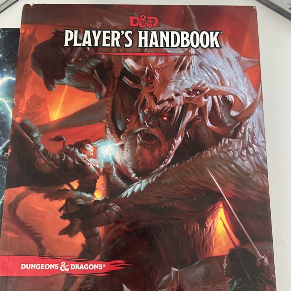 Collection of Dungeons & Dragons Book  with Screen